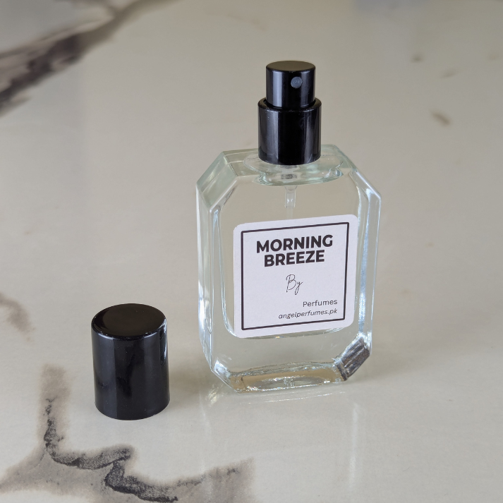Morning Breeze (Impression Zara Silver Men)