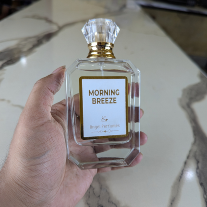 Morning Breeze (Impression Zara Silver Men)