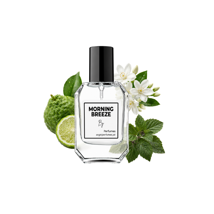 Morning Breeze (Impression Zara Silver Men)