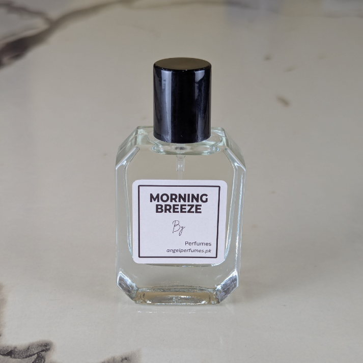 Morning Breeze (Impression Zara Silver Men)