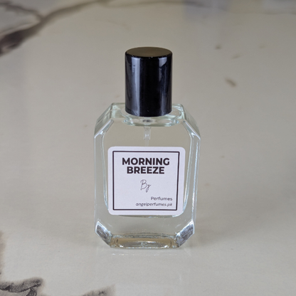 Morning Breeze (Impression Zara Silver Men)