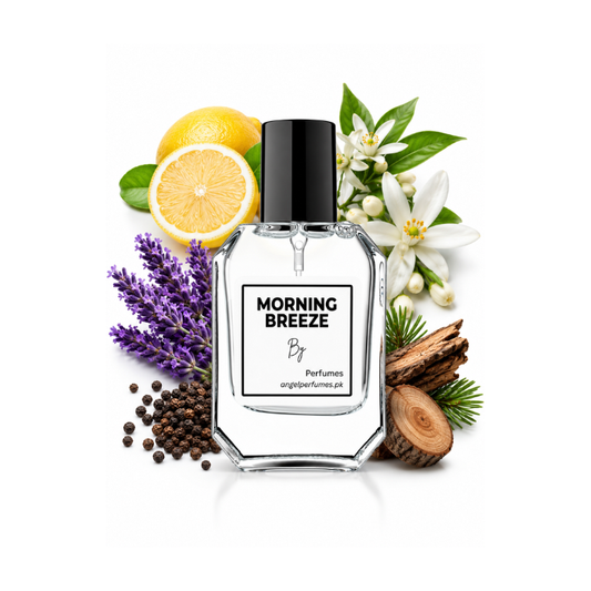 Morning Breeze (Impression Zara Silver Men)